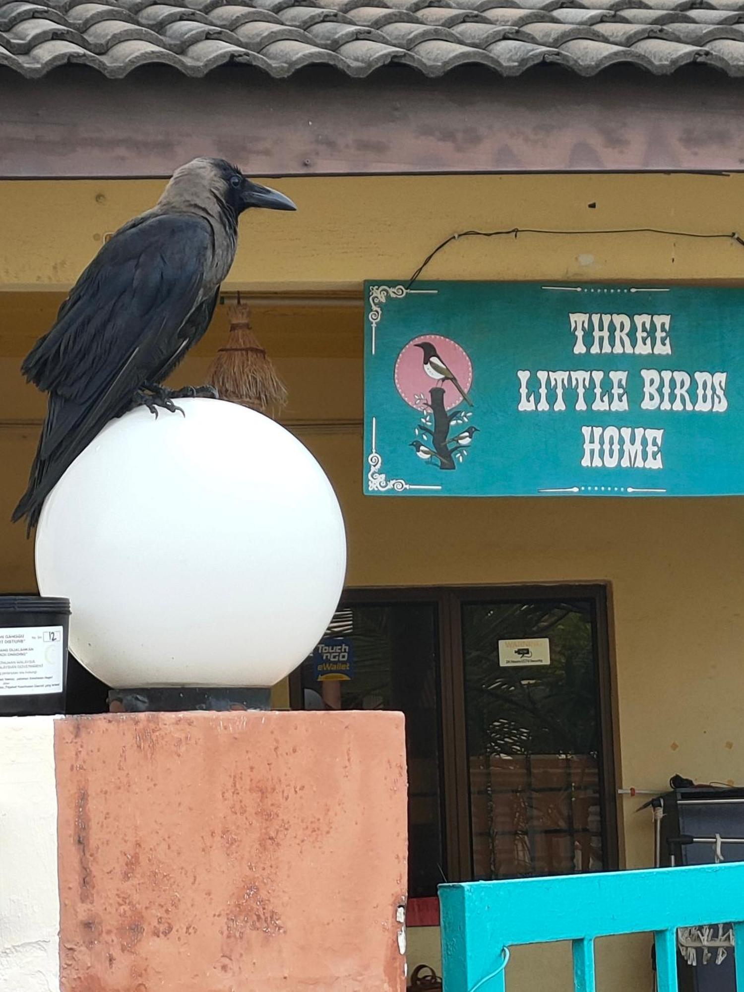 3 Little Birds Home, 100meter To Jonkerwalk *